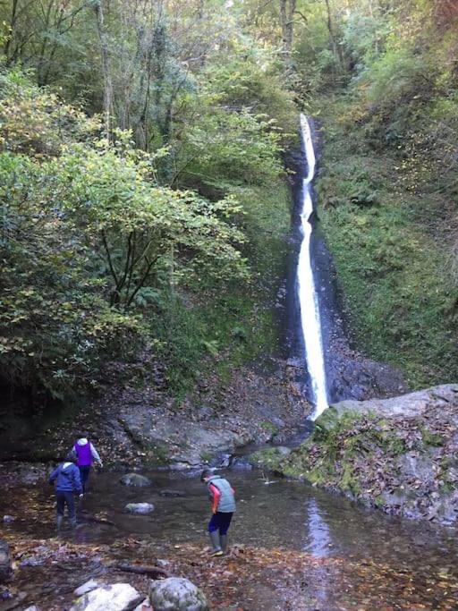 Tamar Valley, Cornwall Callington Экстерьер фото